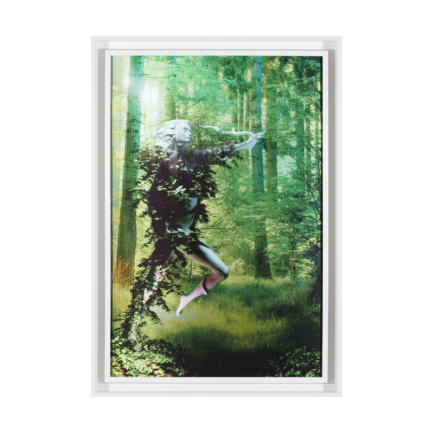 EBRU YILMAZ ÇAKMAK [1972-...] • "Hedera" • 2023