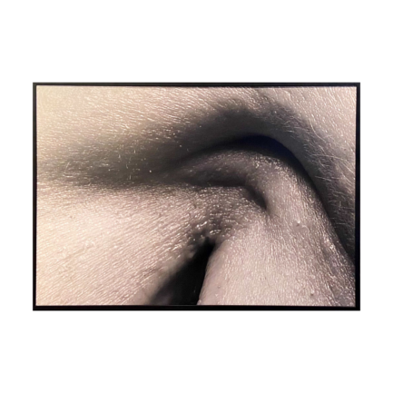 ALİNUR VELİDEDEOĞLU [1953-...] • "Dudak"