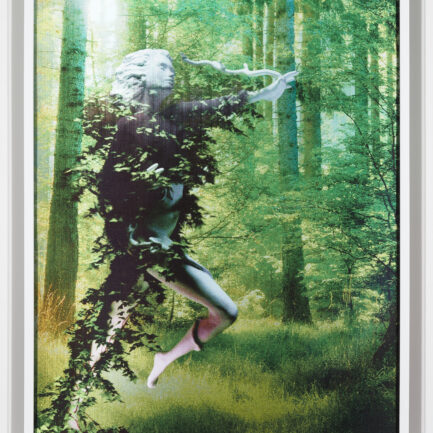 EBRU YILMAZ ÇAKMAK [1972-...] • "Hedera" • 2023