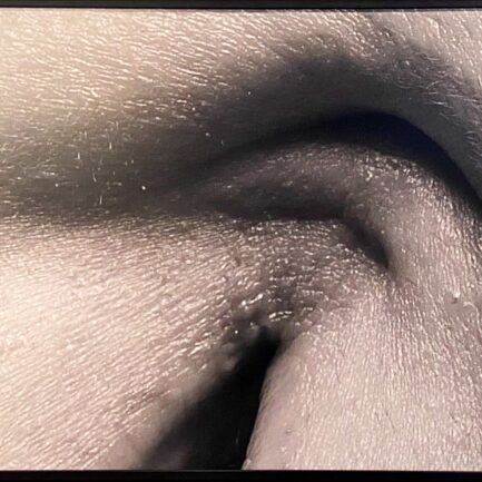 ALİNUR VELİDEDEOĞLU [1953-...] • "Dudak"