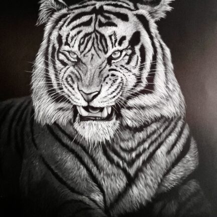 EVREN SARPTUNALI [1982-...] • "İsimsiz"